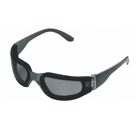 Anteojos Libus Eco Plus