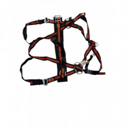 Arnes Delta Plus 2 Anclajes